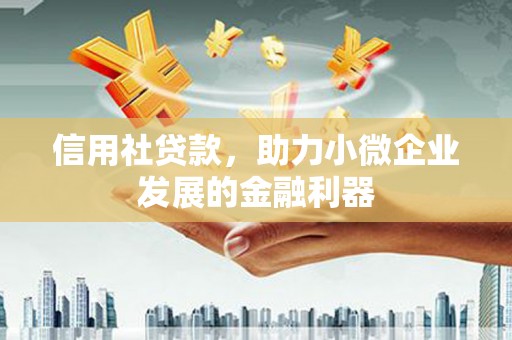 定海信用社贷款，助力小微企业发展的金融利器
