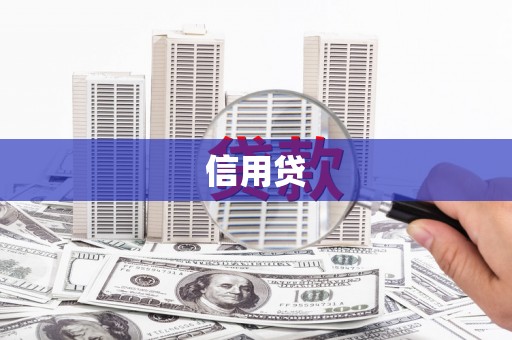 崖州信用贷