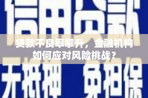 樊城贷款不良率攀升，金融机构如何应对风险挑战？