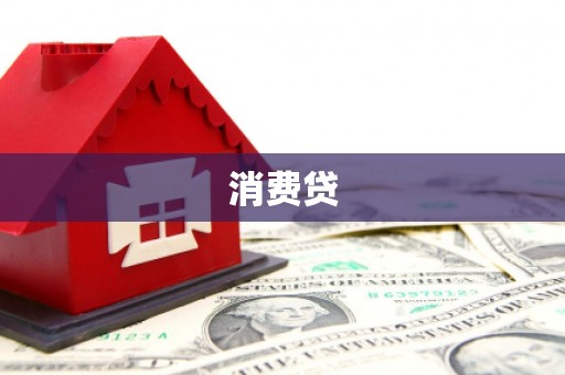 合作消费贷