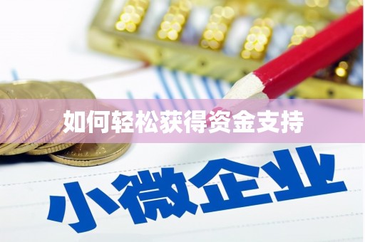 洪雅如何轻松获得资金支持