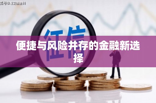 四湖便捷与风险并存的金融新选择