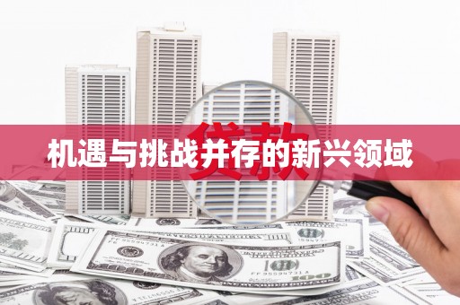 哈尔滨机遇与挑战并存的新兴领域