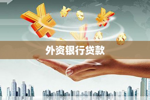 东兴外资银行贷款