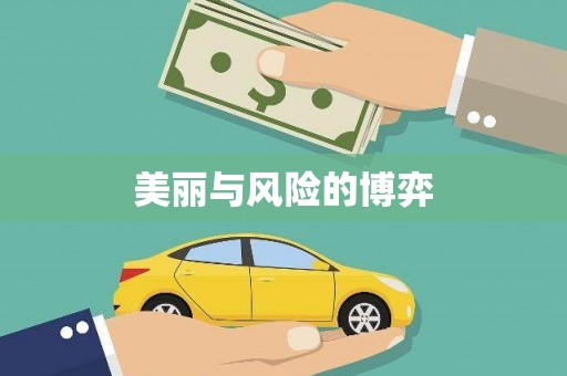 泗阳美丽与风险的博弈