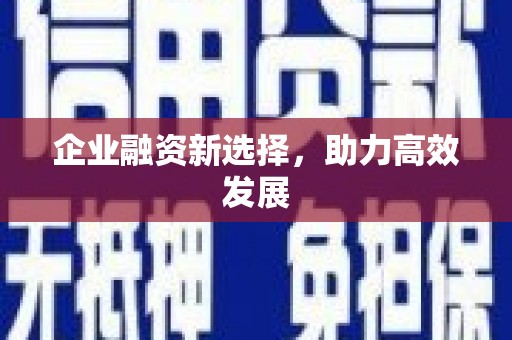 洋县企业融资新选择，助力高效发展