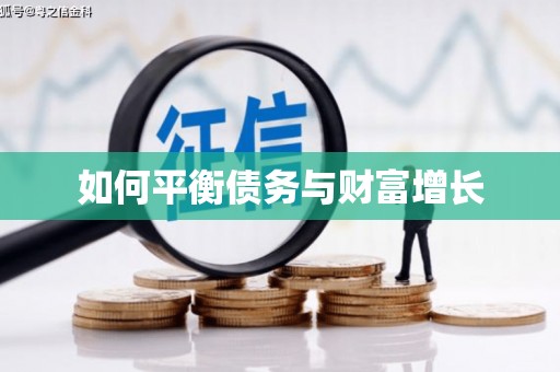 马边如何平衡债务与财富增长